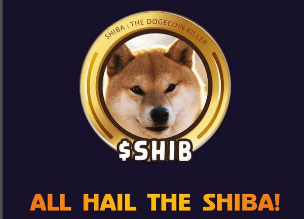 Shibarium: The Foundational Blog (In English)